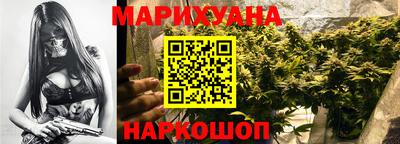 альфа пвп Владикавказ