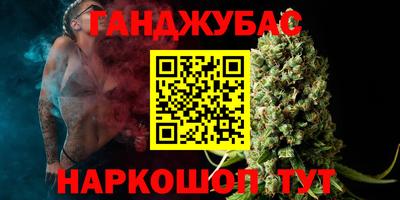 альфа пвп Владикавказ