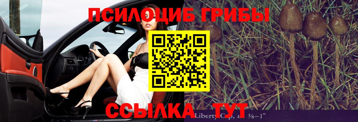 Галлюциногенные грибы Magic Shrooms Клинцы