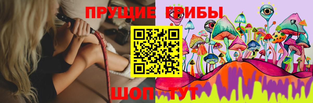 Клинцы  Галлюциногенные грибы Magic Shrooms  Вход с VPN 